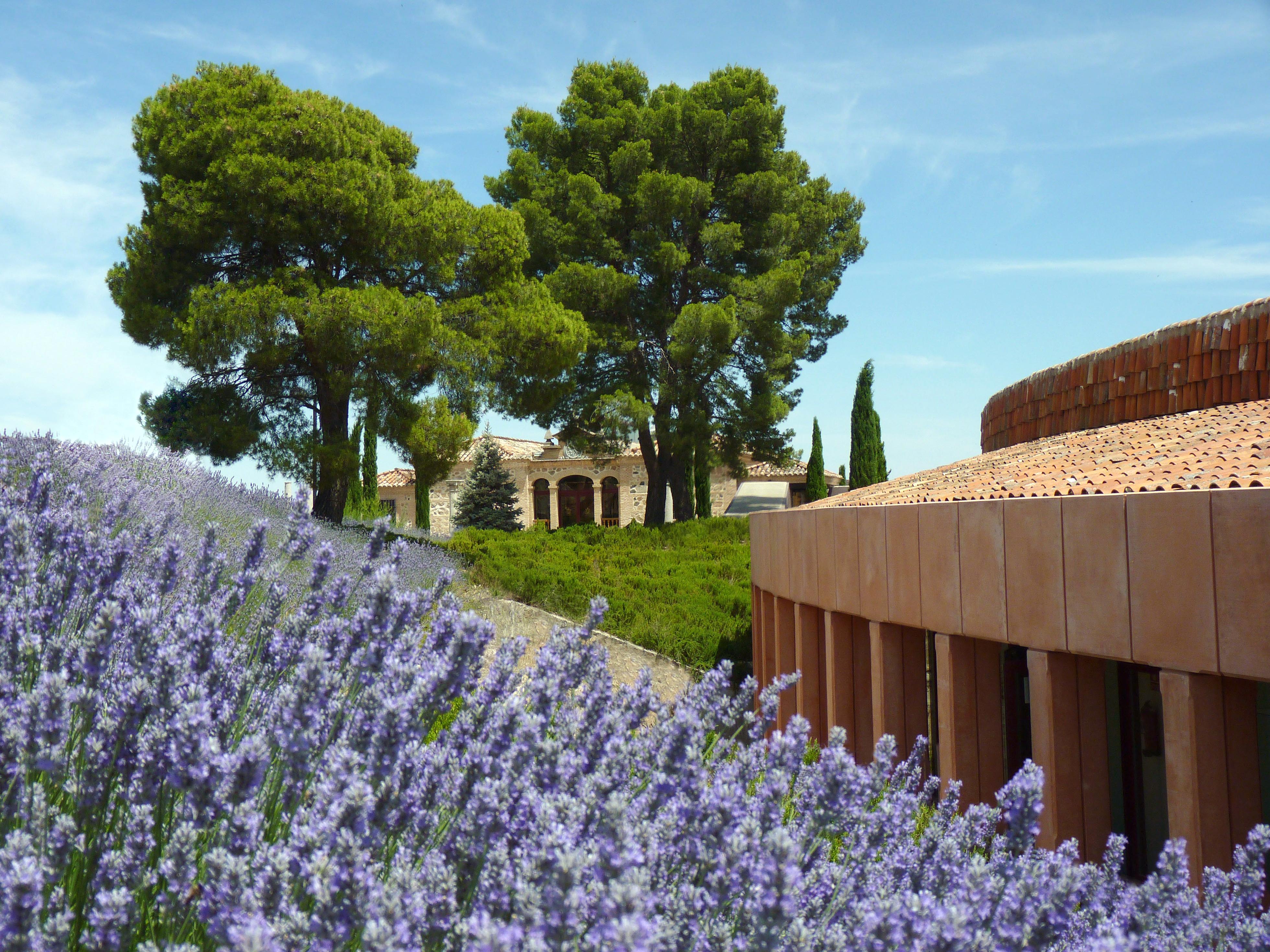 Cigarral El Bosque Hotel 5*